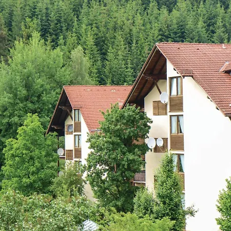 Studio In Bayer. Eisenstein *